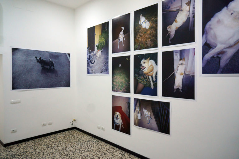 Cani Brutti - The Exhibition - 550 
