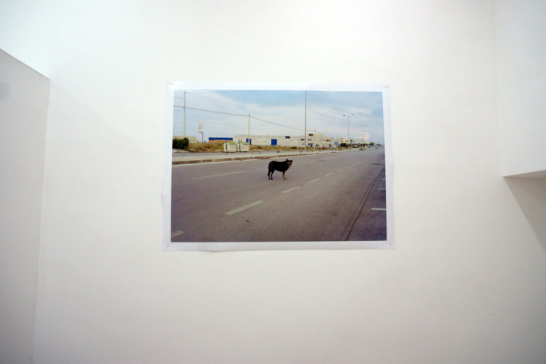 Cani Brutti - The Exhibition - 552 